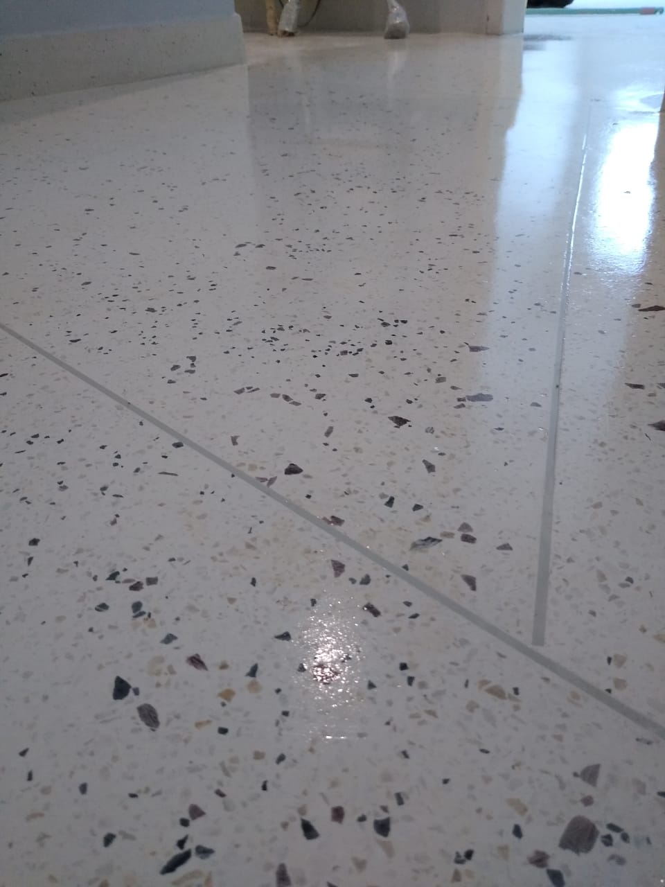 Piso de granitina branca com granulado escuro e acabamento profissional